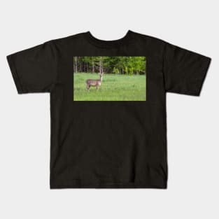 Deer in a Field 2 Kids T-Shirt